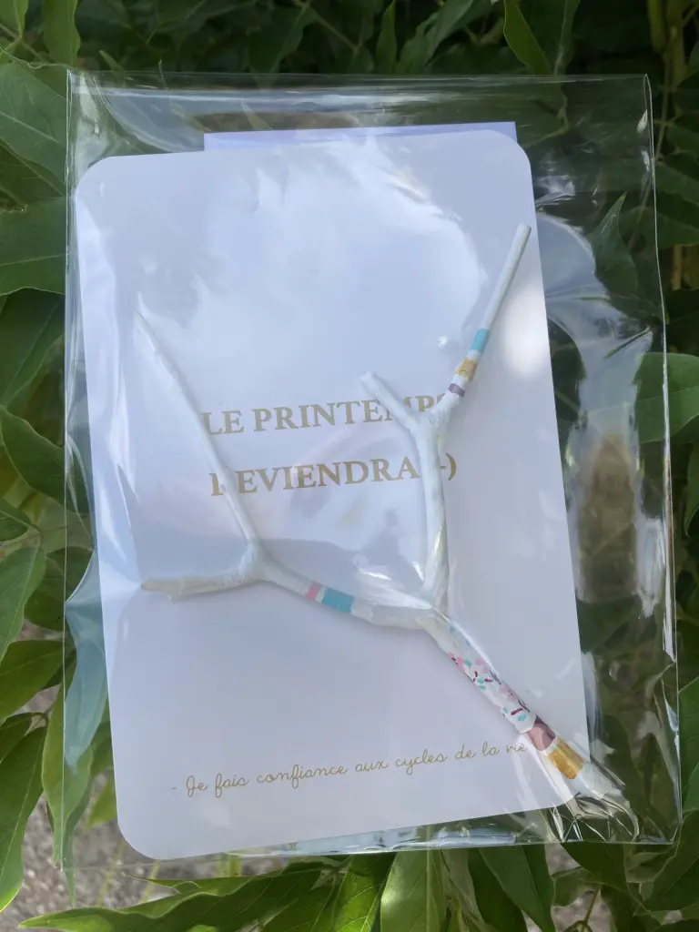 Carte grigri mini bâton de parole " Le Printemps reviendra" sous blister