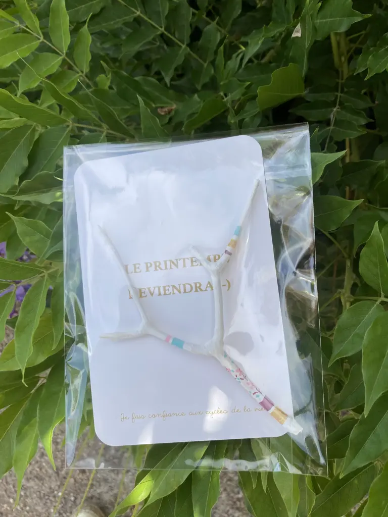 Carte grigri mini bâton de parole " Le Printemps reviendra" sous blister